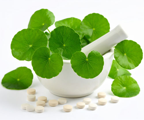 3H LABS introduces high-potency gotu kola to the US and Europe as an eye health ally