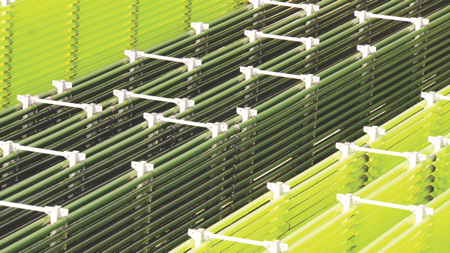 Chlorella growing in closed-production system photobioreactors