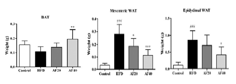Figure 2: Marker levels of WAT and BAT weight as a result of a high fat diet (# = p<0.05, ## = p<0.01 vs control group; ** = p<0.01, *** = p<0.001 vs high fat diet [HFD])