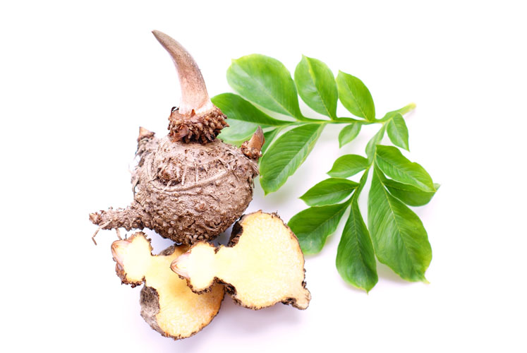 A novel moisturising ceramide extract for a healthy and reinforced skin barrier