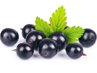 Activeberry gives performance a boost