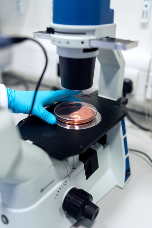 Akay’s patented hybrid-hydrogel technology provides sustained-release of soluble resveratrol