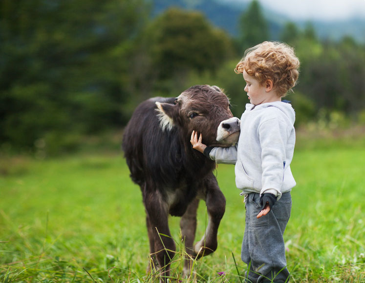 Aleph Farms going carbon-neutral by 2025