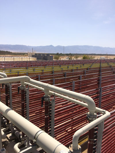 Astaxanthin and skincare