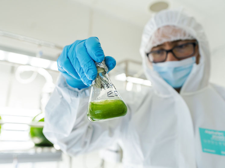 Augmenting digestive health with antioxidant power