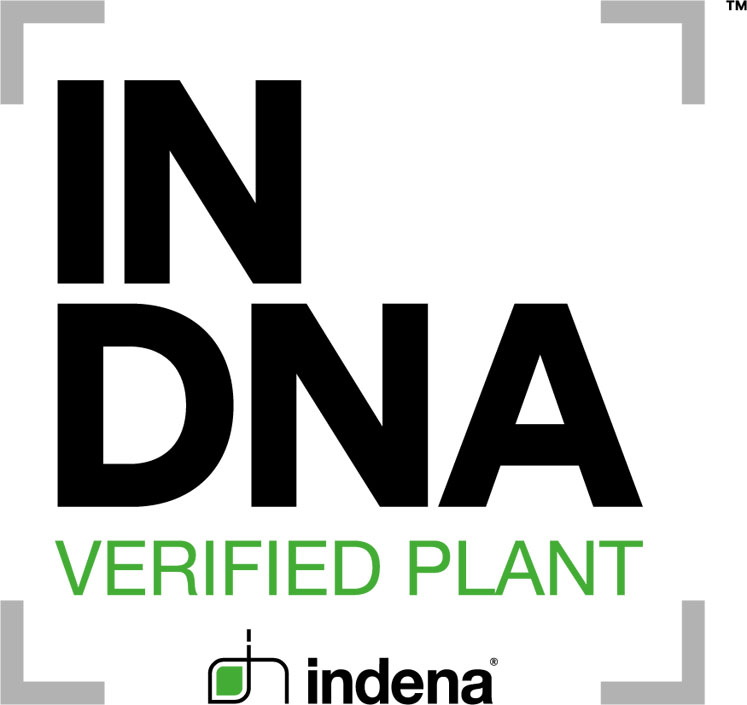 Authenticity and traceability: key parameters for quality botanicals