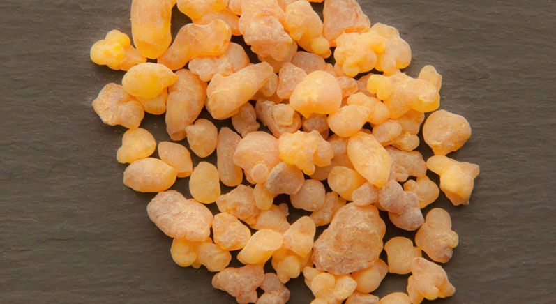 Ayurvedic plants for digestive tract health