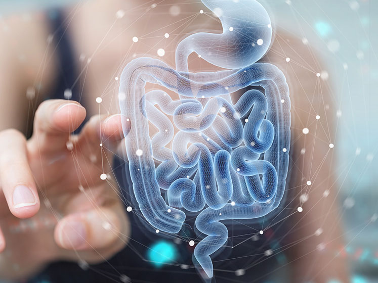 Between food and nutrition: future prebiotic trends