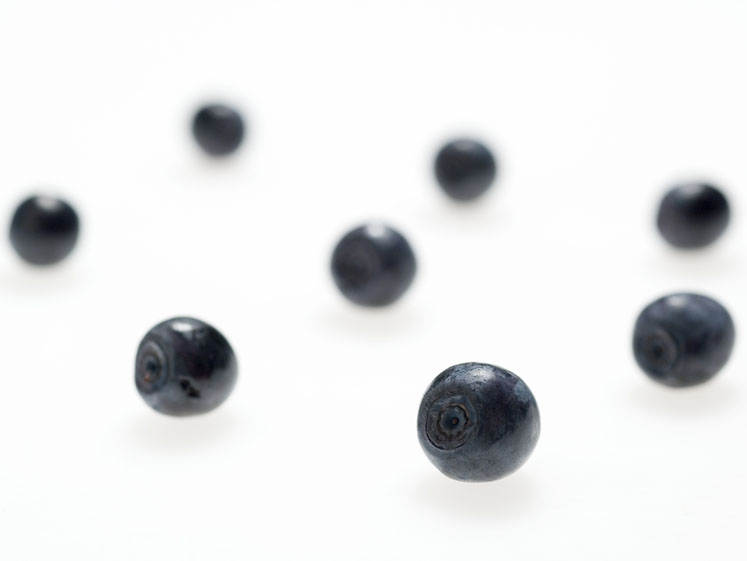 Bilberry fruit: The antioxidant for eye and cardiovascular health