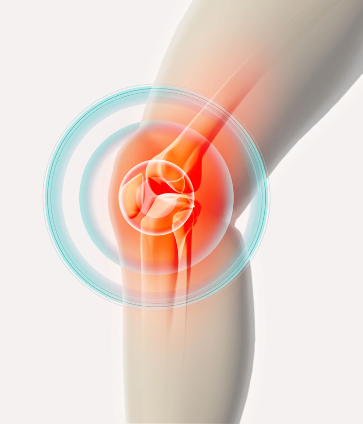 Bone and joint health ingredients for better movement and added comfort