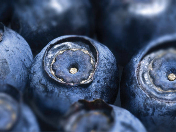 Botanical products as a sustainability asset: Mirtoselect and Enovita represent Indena’s vision of a circular economy