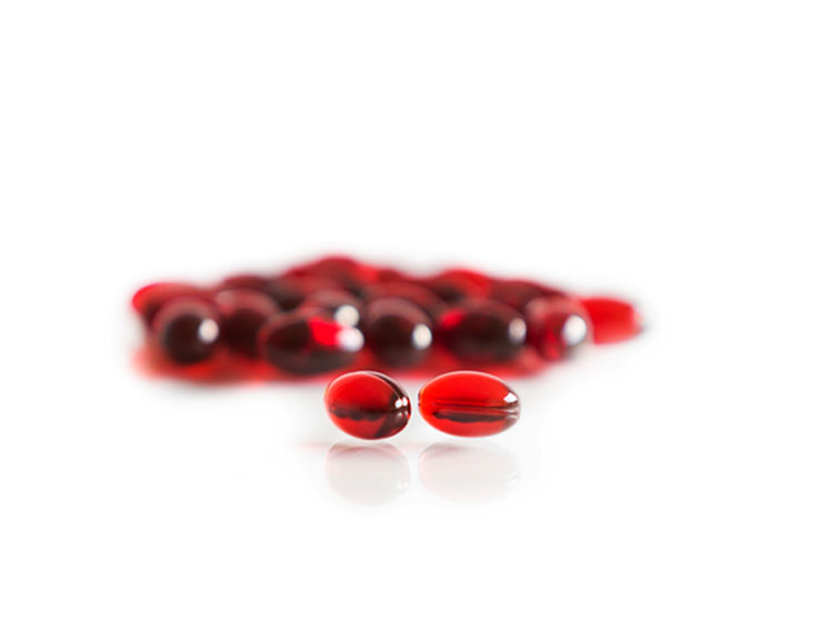 Brain food and more: the multifaceted health benefits of krill oil