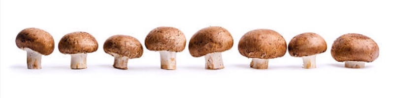 Can L-ergothioneine transform the healthy ageing segment?