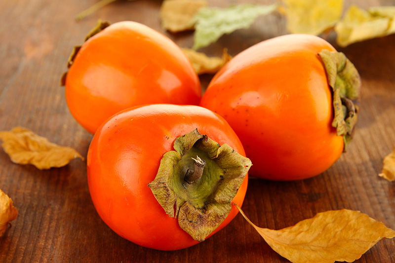 Clinically proven persimmon extract for natural fat loss and wellbeing