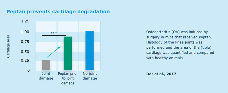 Collagen: the supplement industry’s evergreen answer to mobility issues