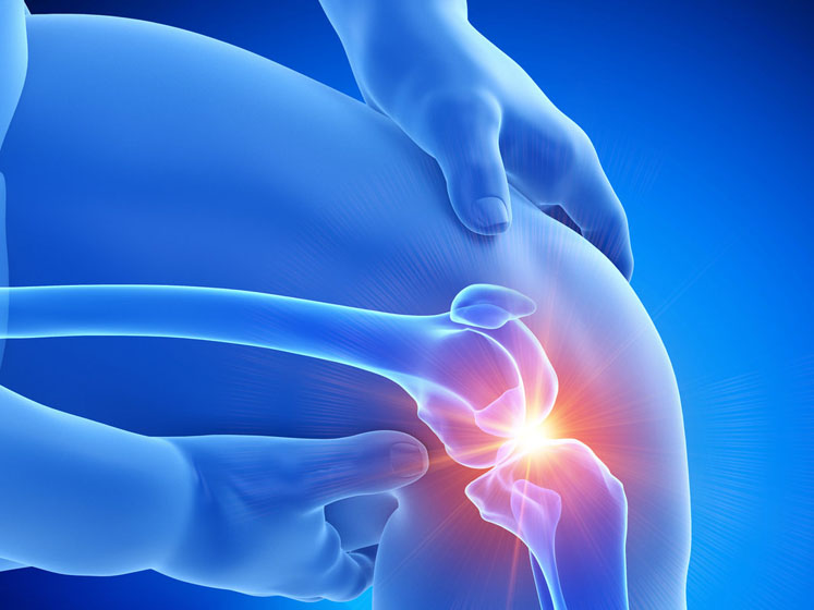 Collagen: the supplement industry’s evergreen answer to mobility issues