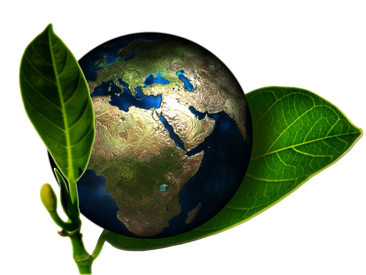 Combining sustainability and cognitive health for healthier consumers and a better planet