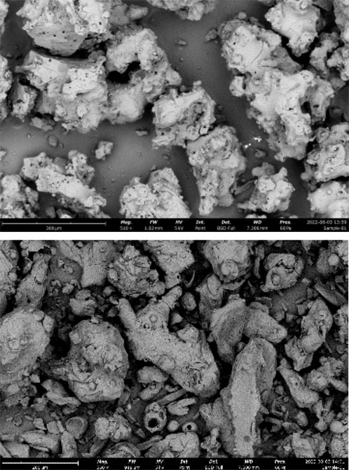 Drying liquids: selecting the best technology for nutraceuticals