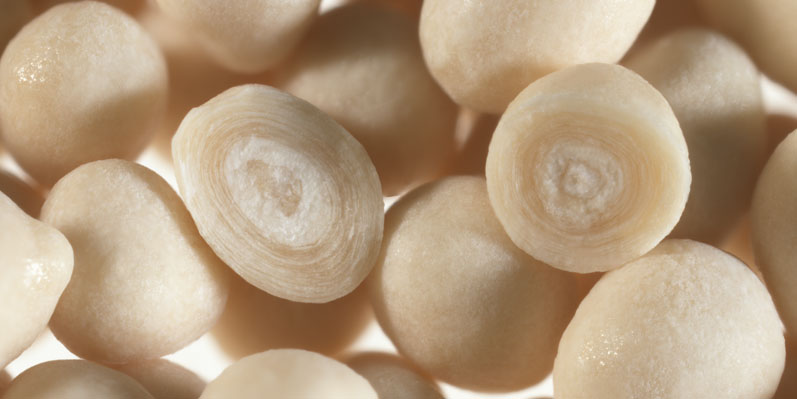 Drying liquids: selecting the best technology for nutraceuticals