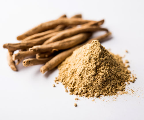 Enhanced bioavailability in Shoden ashwagandha linked to withanolide glycosides