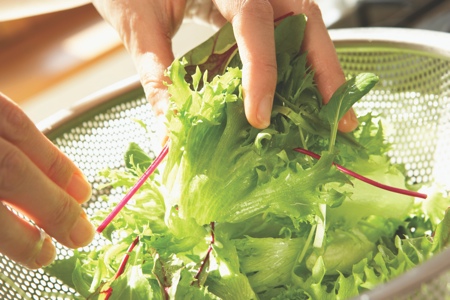 Exercise your cells with healthy food for a good life