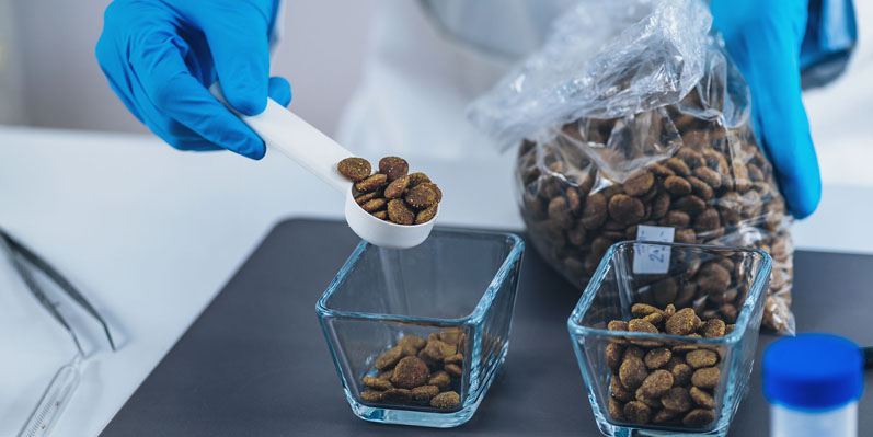 From alga to bowl: astaxanthin supports pet health
