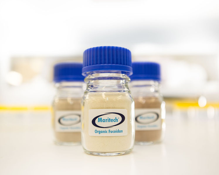 Fucoidan: exploring a new wave of wound healing