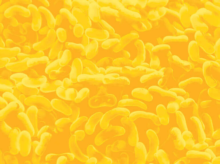 Functional ingredients that offer more