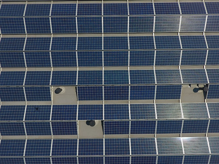 Future Crops moves to 100% renewable energy