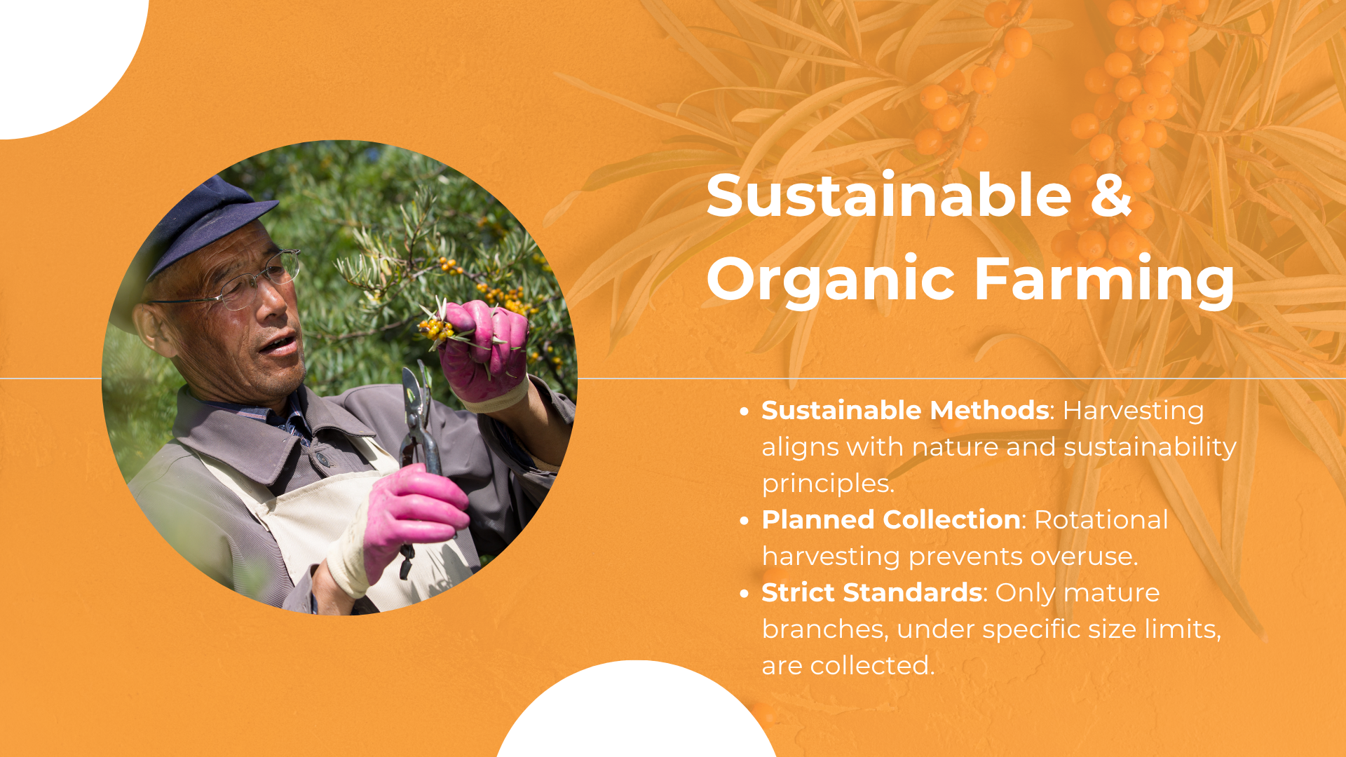 Highlights of Puredia's innovation tour: sustainability in action