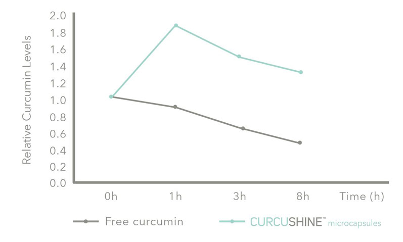 Figure 4: The results of a bioavailability study conducted with healthy volunteers supplementing with Curcushine; blood samples was collected at different time points analysed using UPLC-Q/ToF