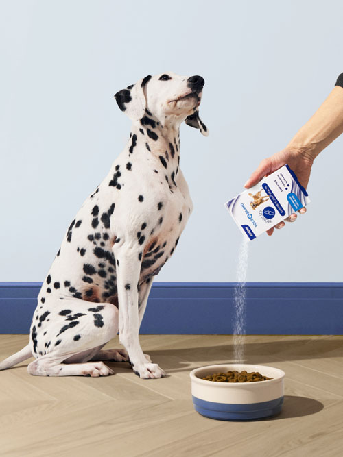 How to treat (and supplement) pets like part of the family