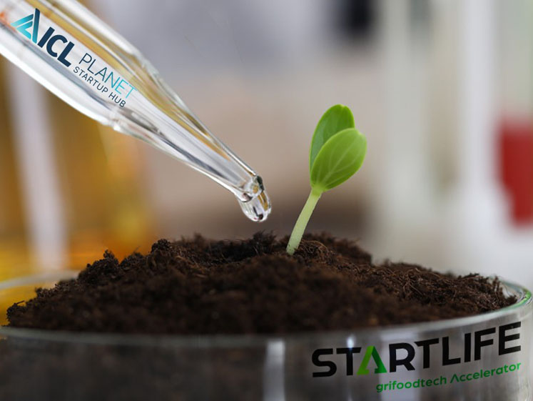 ICL Planet Startup Hub to partner with StartLife