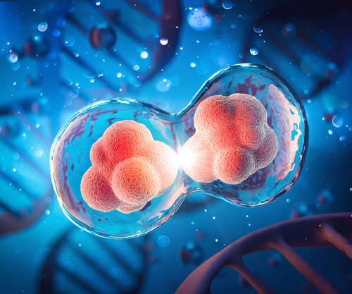 Innovation in reproduction: bringing science-backed fertility support to European couples