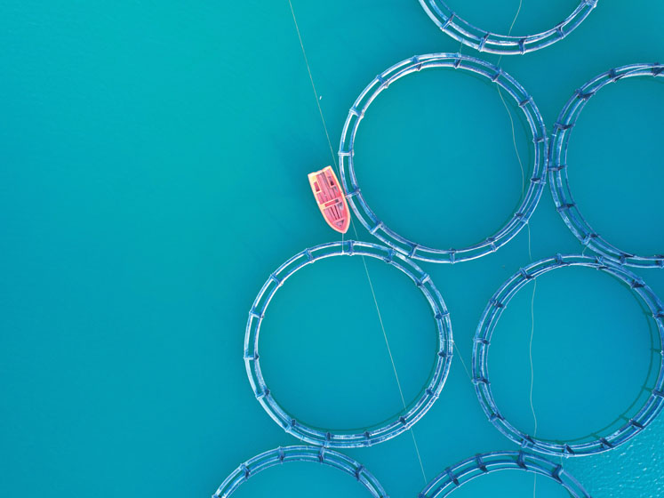 Is upcycling underutilised food streams our ticket to a sustainable future?