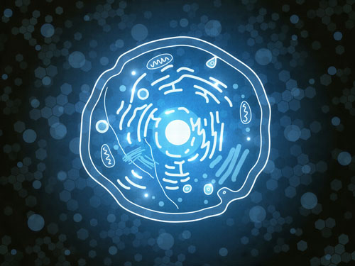 Kaneka Ubiquinol launches scientific advisory board to champion mitochondrial health education and integrative care