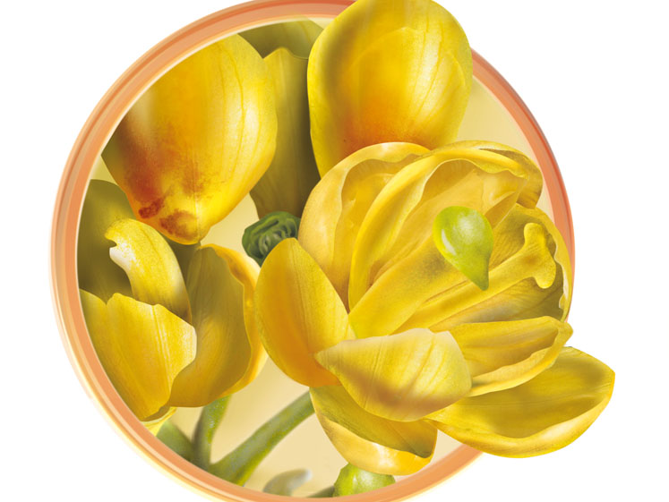 Keeping your metabolism balanced, naturally