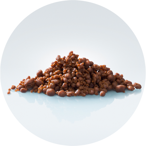 Krill: a natural superfood to support pet health