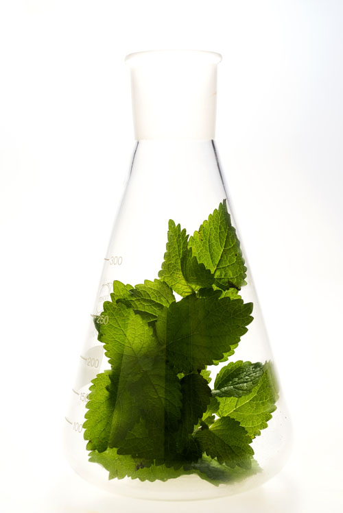 Melissa Phytosome: substantiating the ability of a precious plant to restore daily balance