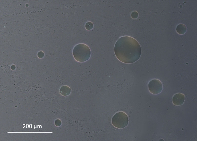 Figure 1: An oil–water pre-emulsion with a lauryl sulphate surfactant taken with a stationary CSS450 stage using an optical microscope with a 10x polarised objective