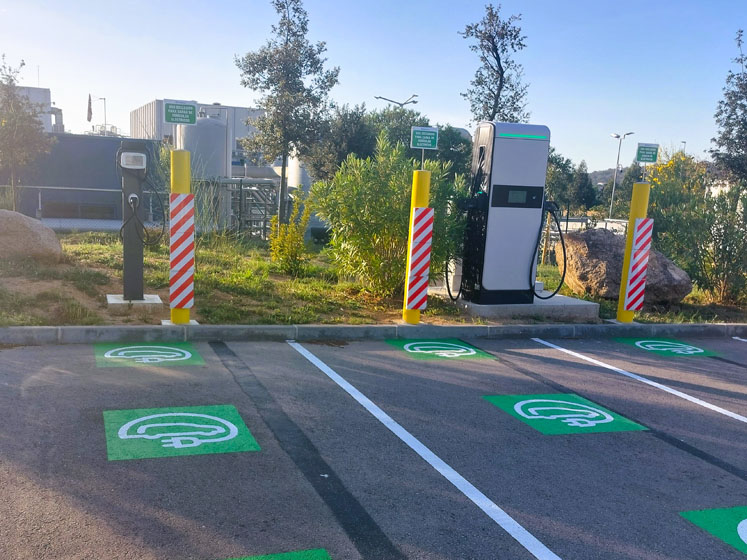 Navigating sustainability more confidently to champion a greener future for all