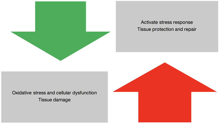 New science cushions joint health challenge