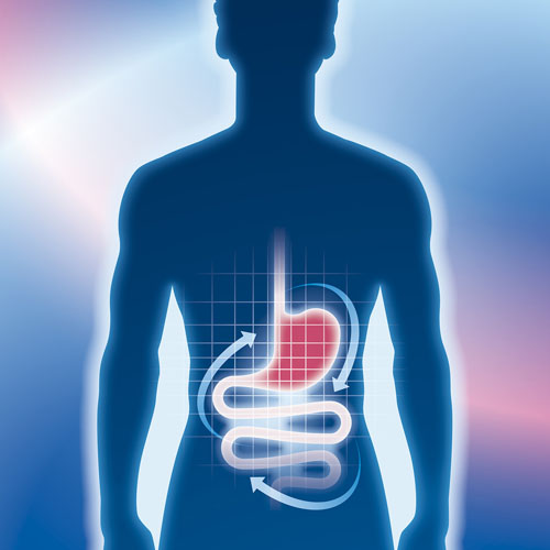 New study confirms Bimuno GOS delivers prebiotic effect at an ultra-low dose