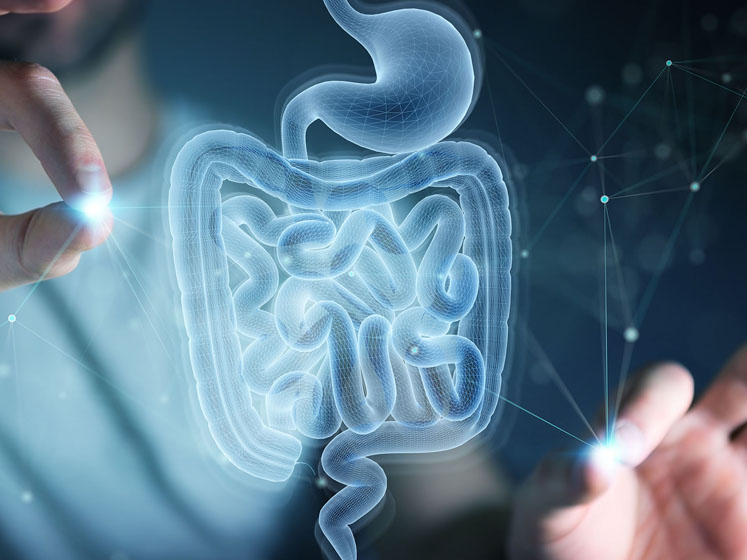 New study reveals promising results for Helicobacter pylori eradication with Lacidofil