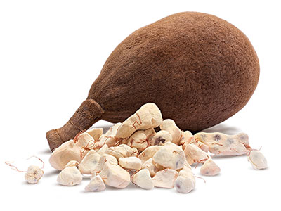 Baobab (Adansonia digitata) is called 'Africa's tree of life'