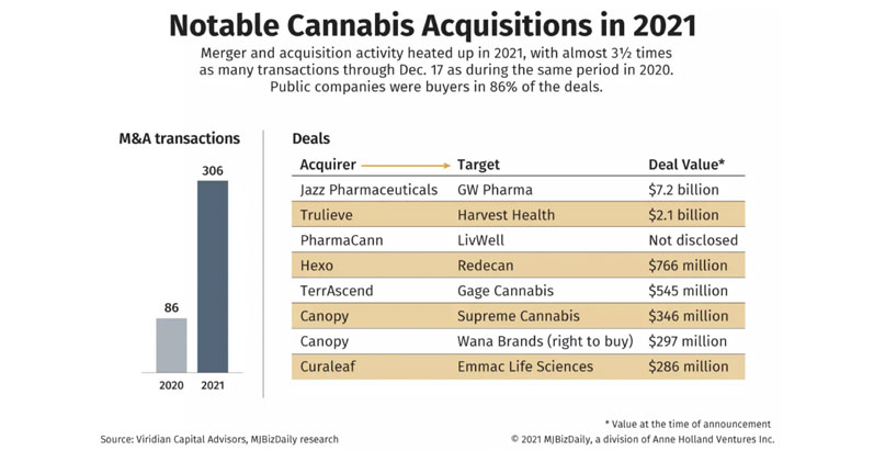 Nine CBD innovation trends to watch in 2022