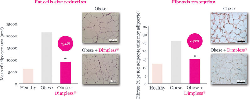 Nutricosmetics: a science-driven approach to beauty