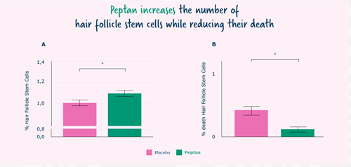 Peptan plays role in addressing hair loss in men and women, study says