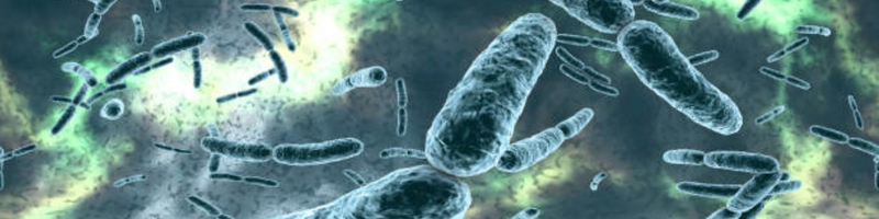 Probiotics: a trusted strain is a trusted business