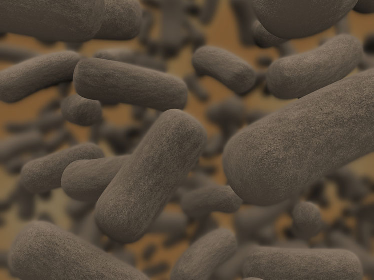Probiotics: quality assurance begins with strain stability